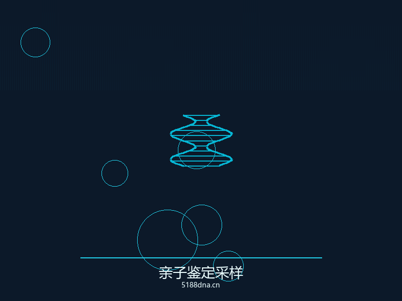 亲子鉴定报告样本