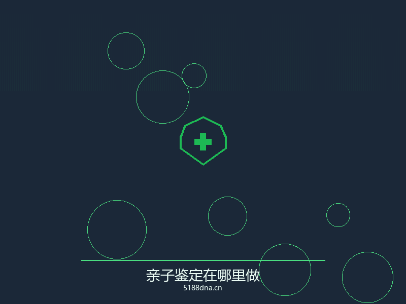 DNA分子结构
