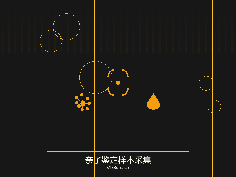 司法亲子鉴定办理