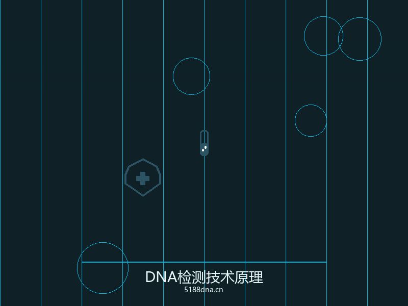 司法亲子鉴定办理