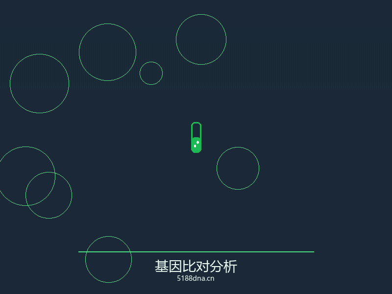 亲子鉴定采样工具包