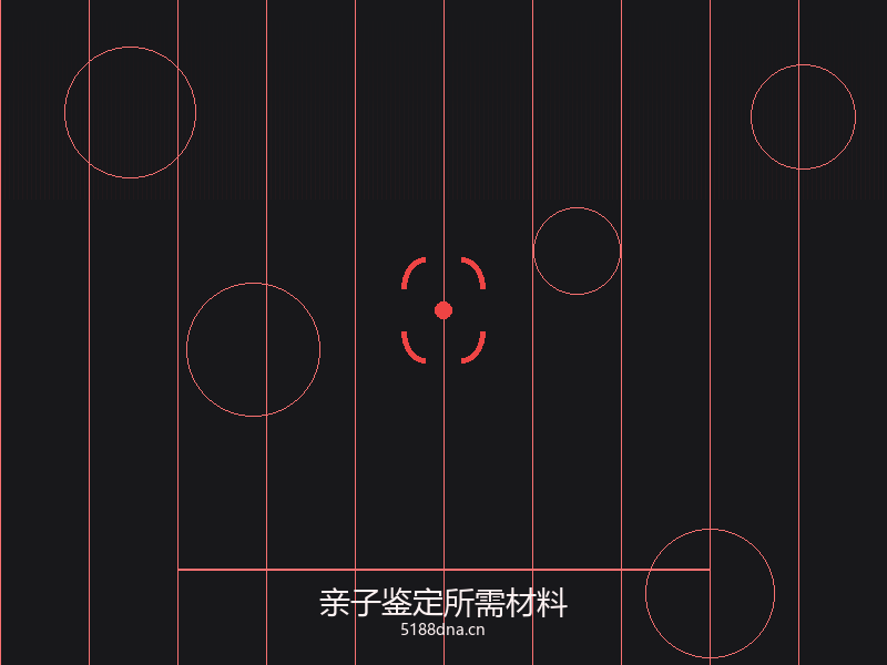 亲子鉴定流程步骤图