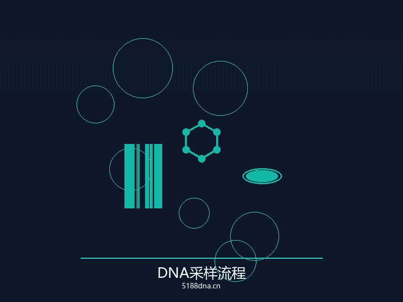 亲子鉴定服务流程