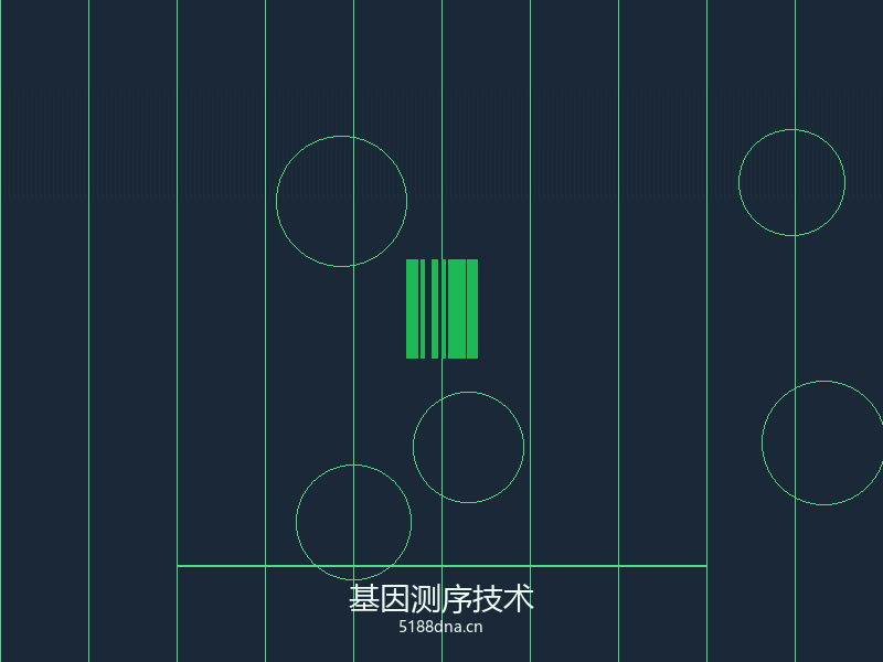亲子鉴定知识科普
