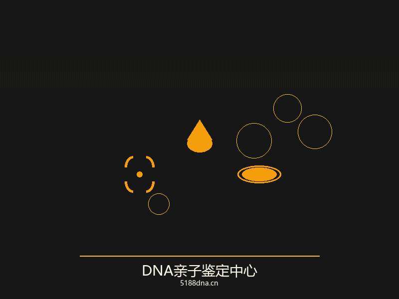 DNA检测技术