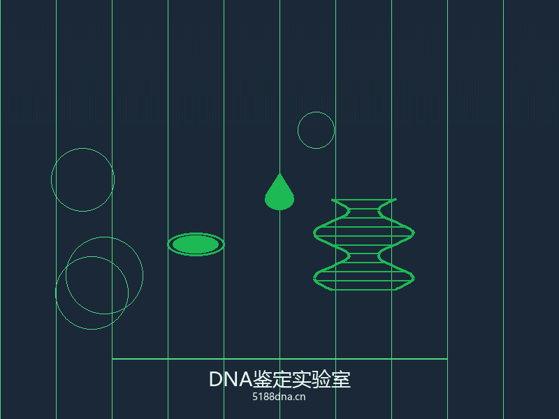 亲子鉴定报告样本