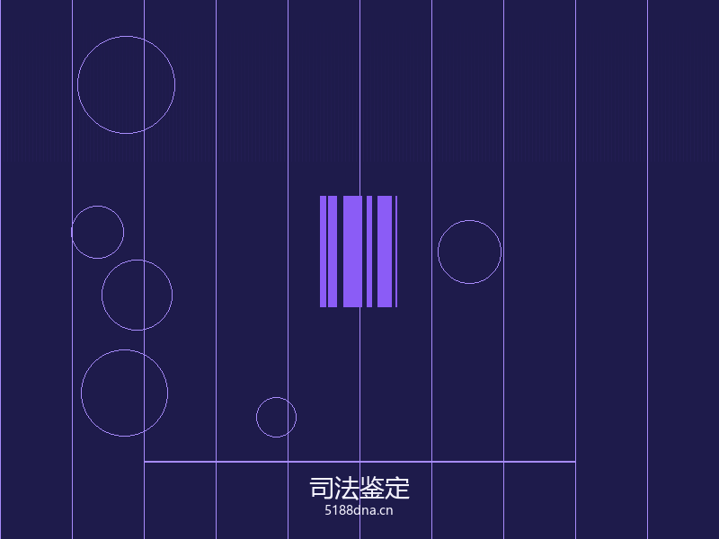 实验室技术人员操作中