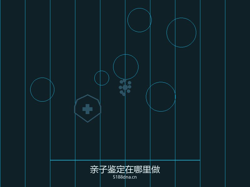 专业鉴定机构环境