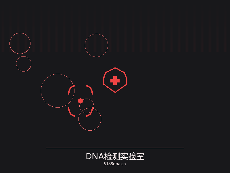 DNA亲子鉴定实验室实拍