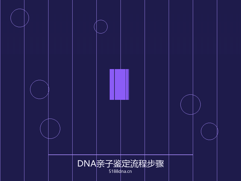 司法亲子鉴定办理