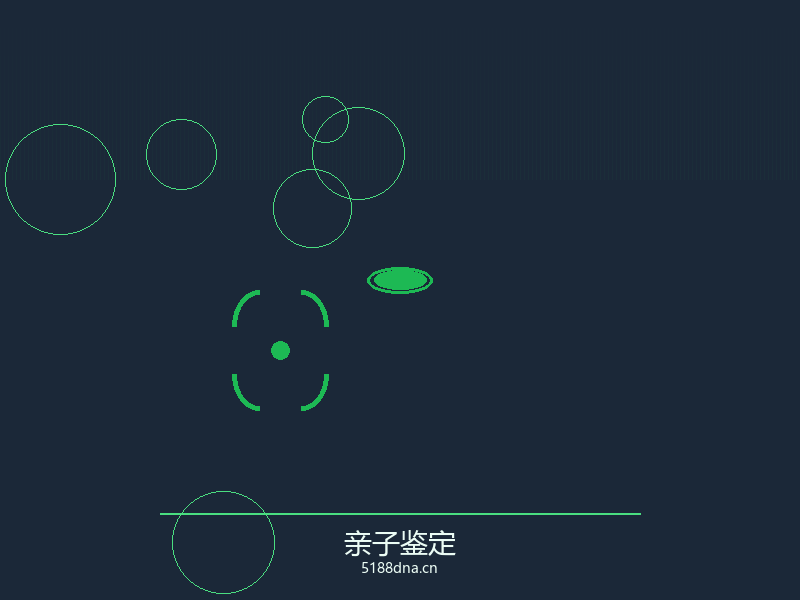 亲子鉴定服务流程