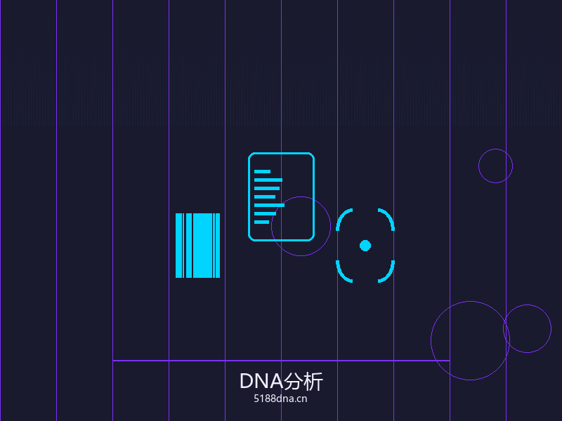 DNA分子结构