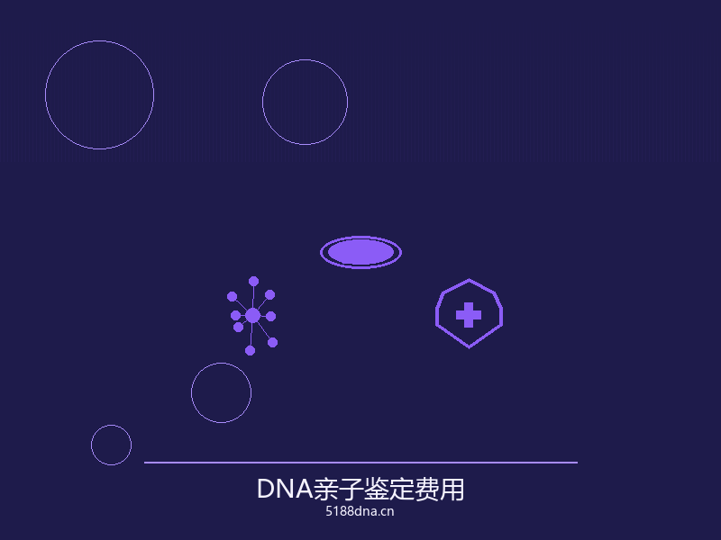 DNA亲子鉴定实验室
