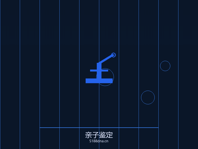 DNA检测技术